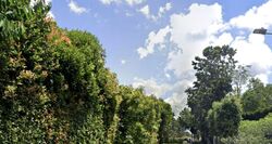 Victoria Park Close (D10), Detached #510840251